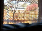 19.11.2022 - Raus aus der Stadt